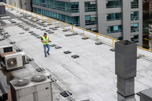 Best Roof Coating and Sealing  in Columbia Heights, MN