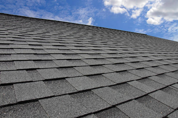 Best Roof Ventilation Installation  in Columbia Heights, MN